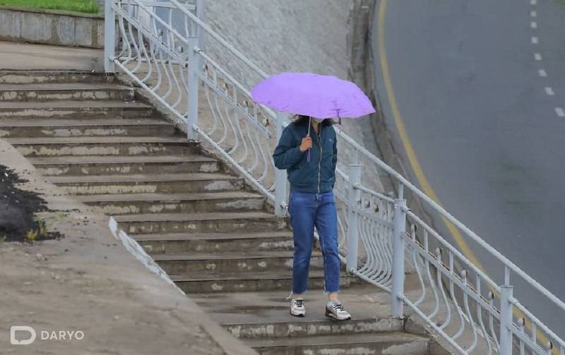 Дам олиш кунлари Ўзбекистонда ёмғир ёғади